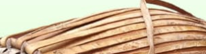 club-footer-logo